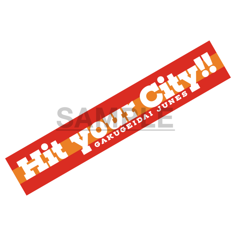 3rd LIVE TOUR「Hit your City!!」ライブタオル